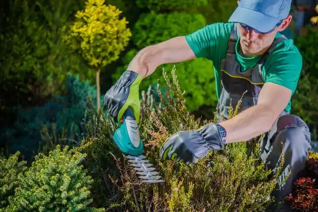 landscaping services Iron Mountain Lake
